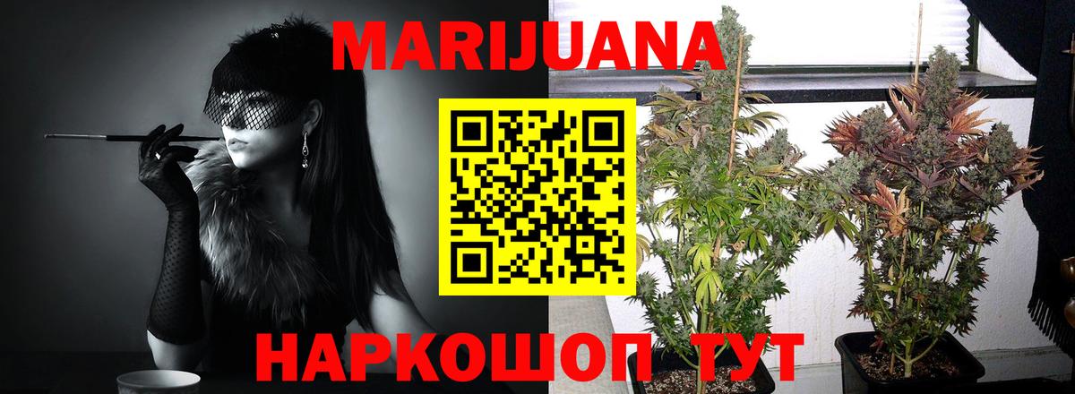Каннабис марихуана Апатиты